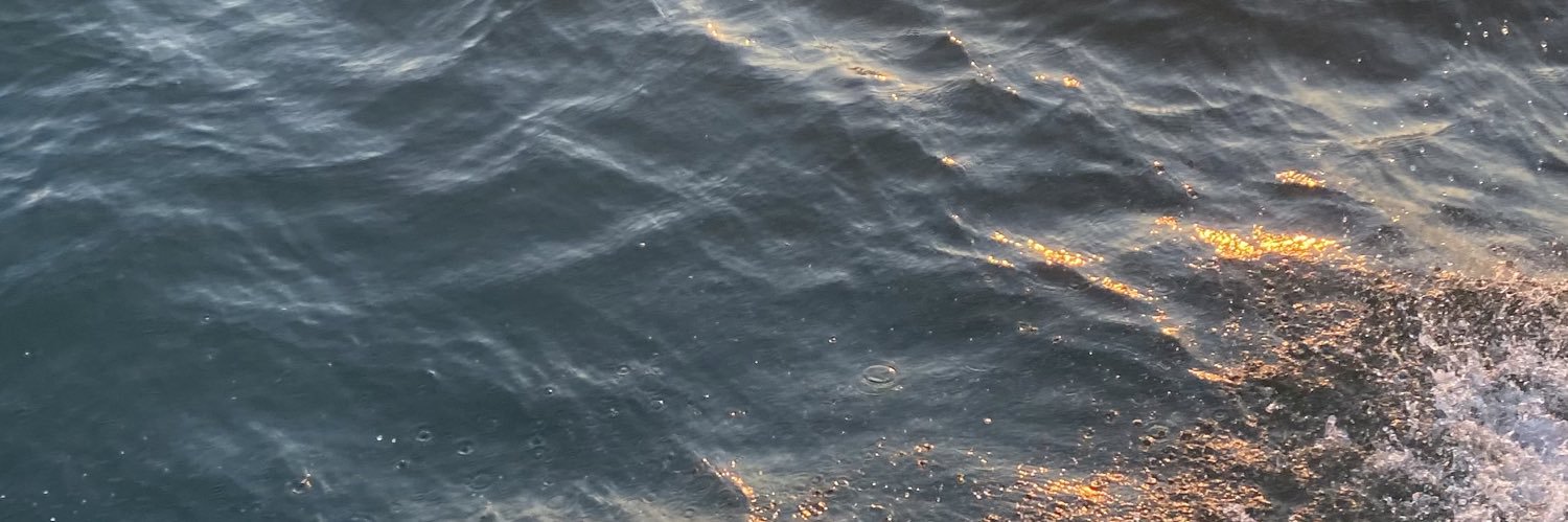 _camryna's profile banner image