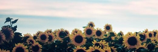 BrittKn3e's profile banner image