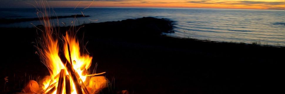 alter ego  banner