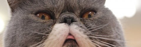 n0kn_lt's profile banner image