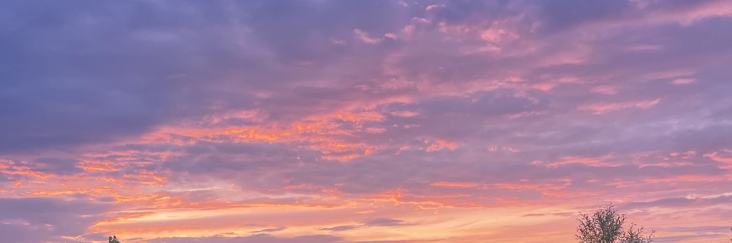 KeltyMurray's profile banner image