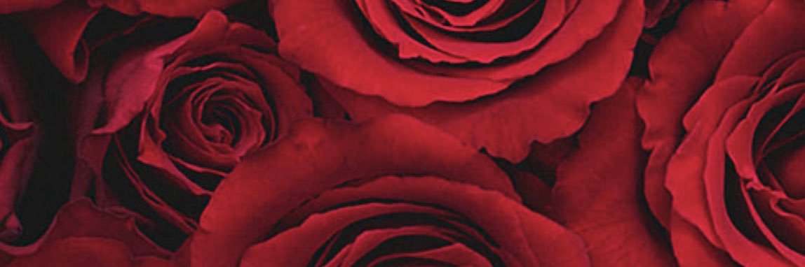 kay ♉︎ banner