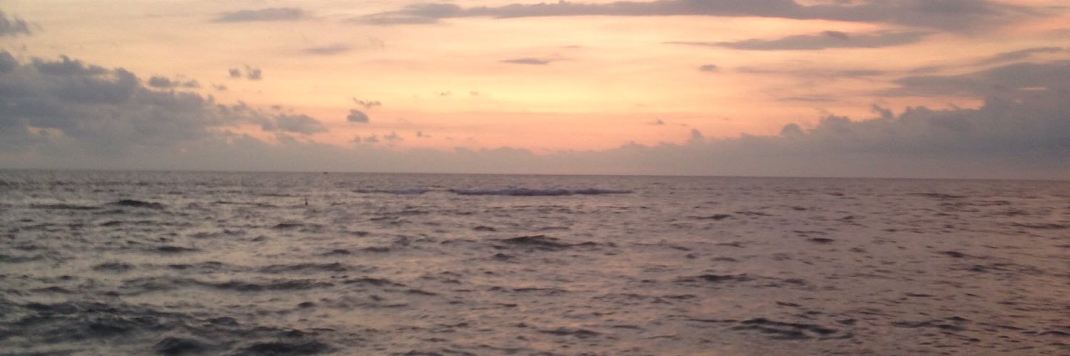 ThujavanN's profile banner image