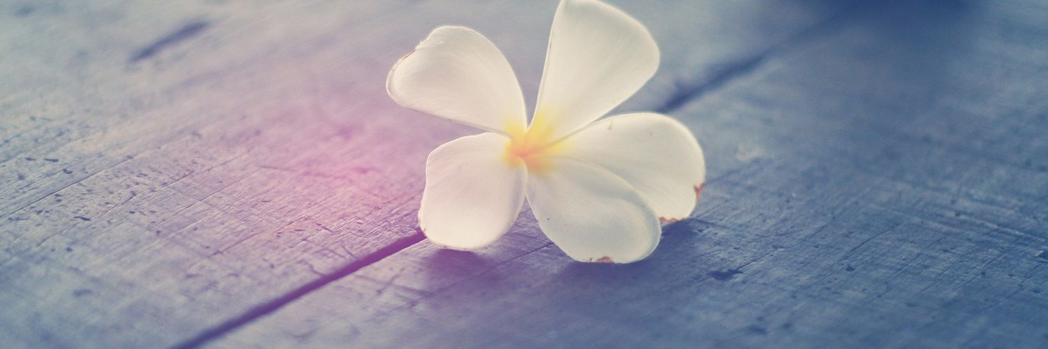ll333o's profile banner image