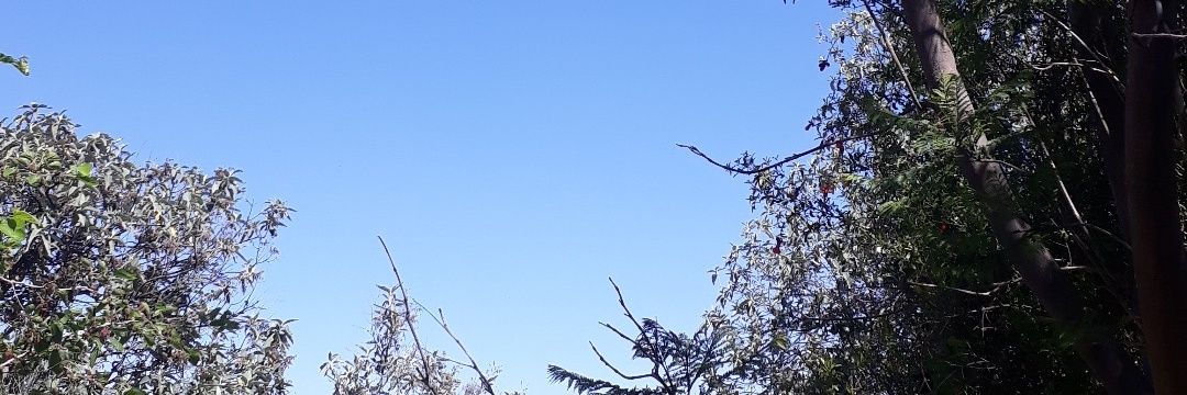 roxperal's profile banner image