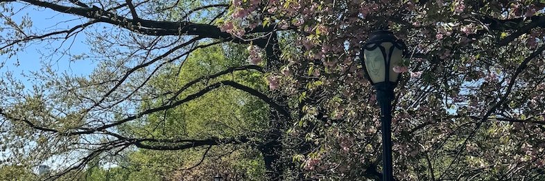 Priyanka Aribindi banner