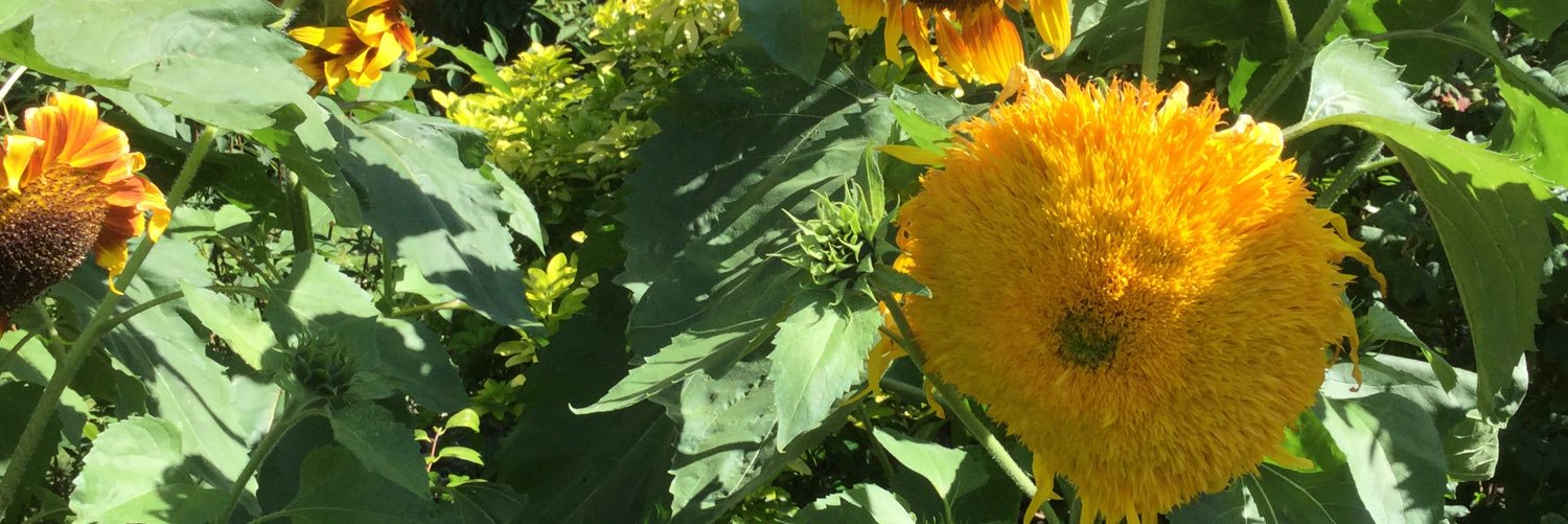 cath111148's profile banner image