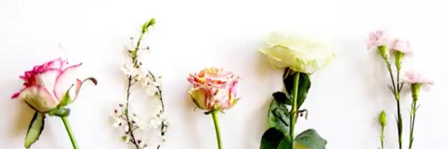 abbycarlsonnn's profile banner image