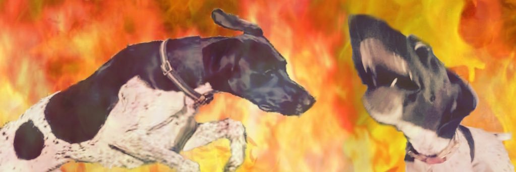 daltjamesy's profile banner image
