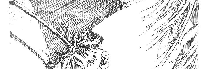 rmh___c's profile banner image