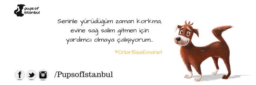 pupsofistanbul's profile banner image