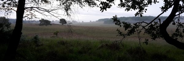 plan6868 Profile Banner