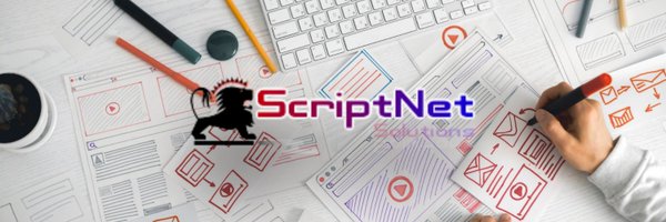 ScriptNet Solutions Profile Banner