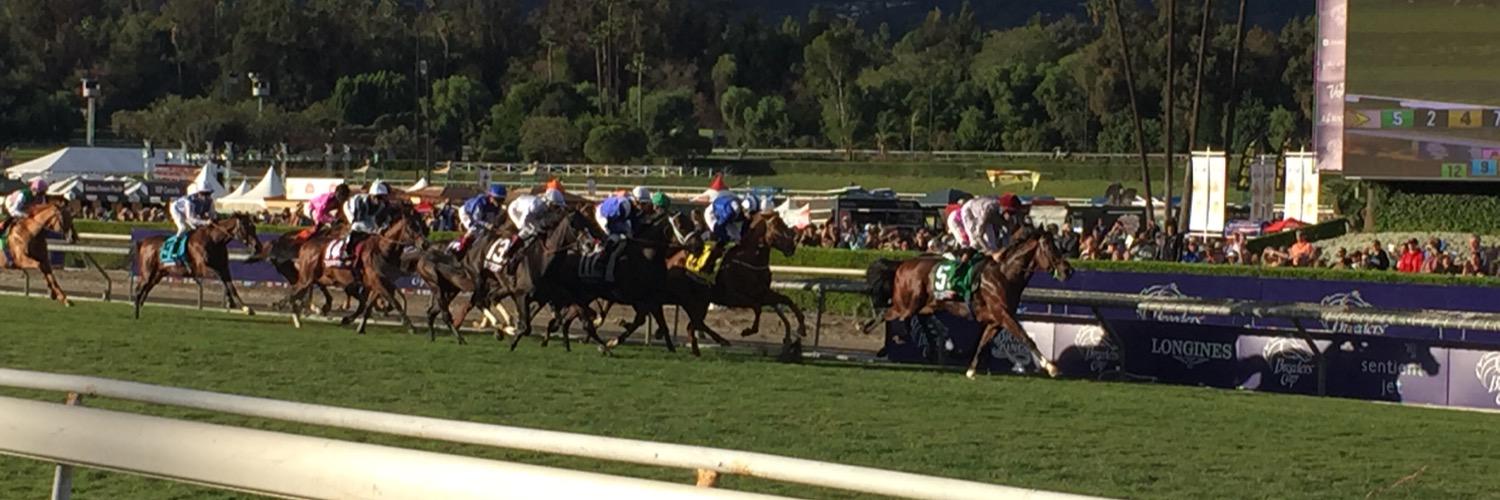 Kimberly French banner