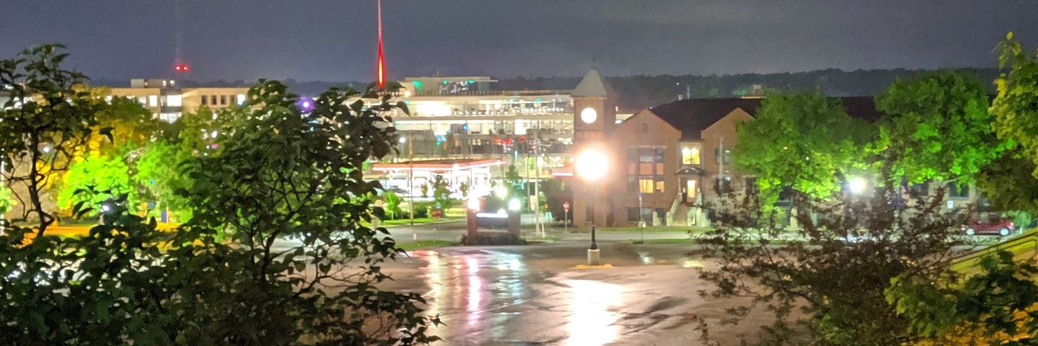 The Porg Whisperer banner