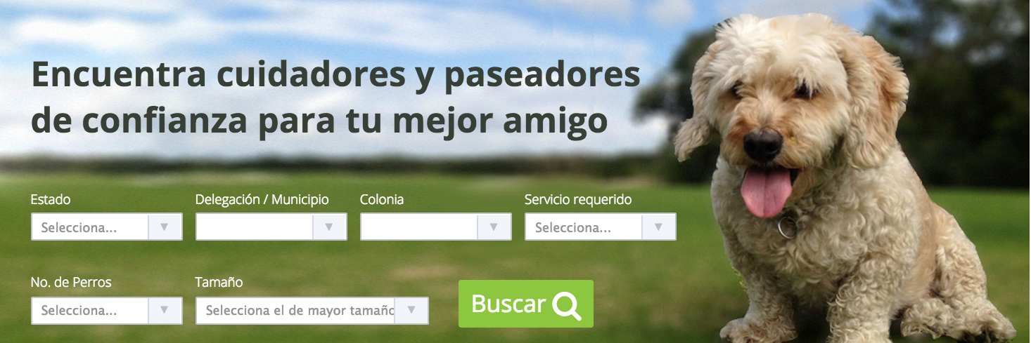 lickosmx's profile banner image