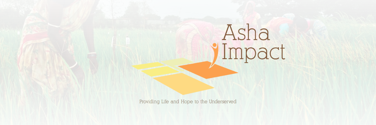 Asha Impact banner