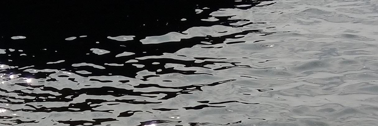 Kristoffer Lidén banner