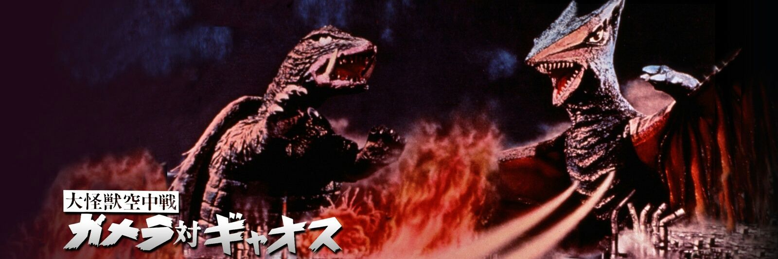mg19741's profile banner image