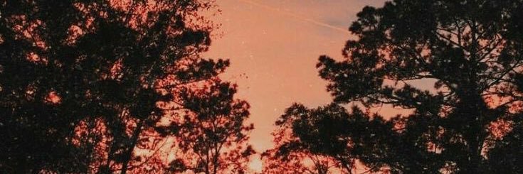 mariaa_calles's profile banner image