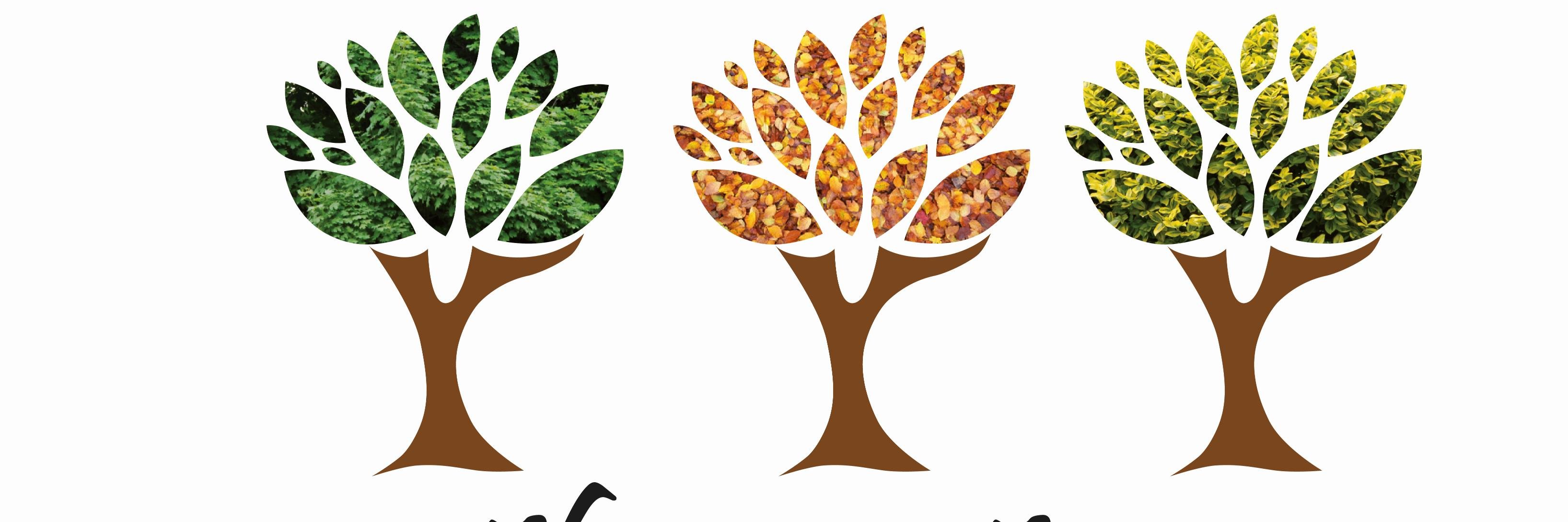 Official3trees's profile banner image