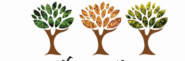 Official3trees Profile Banner