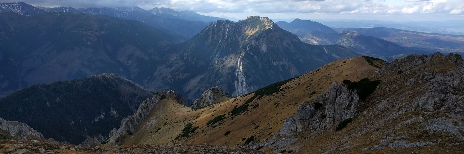 Lukasz Wiecaszek banner