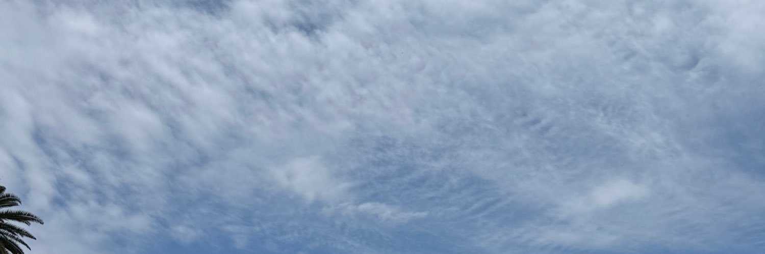 biscardiflor's profile banner image