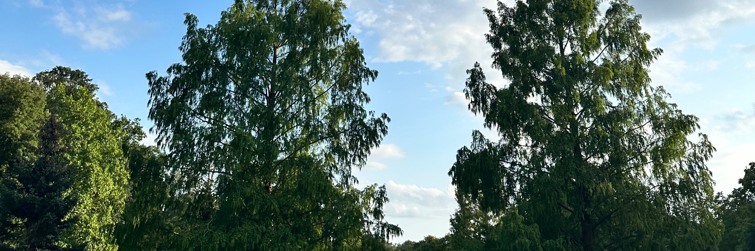 Gabidestcroix's profile banner image
