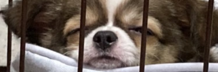 halfmillion0119's profile banner image