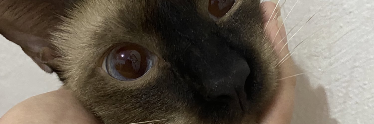 ashwihh's profile banner image