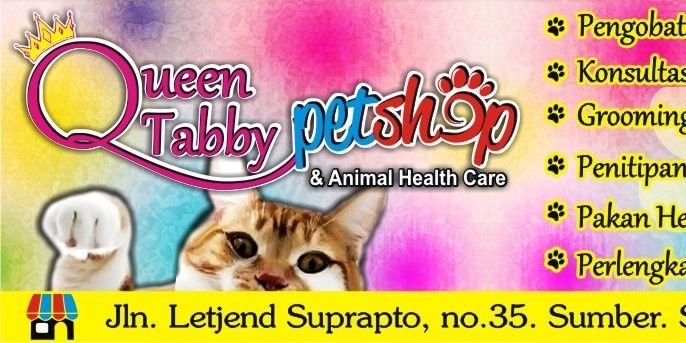 PetshopSolo's profile banner image