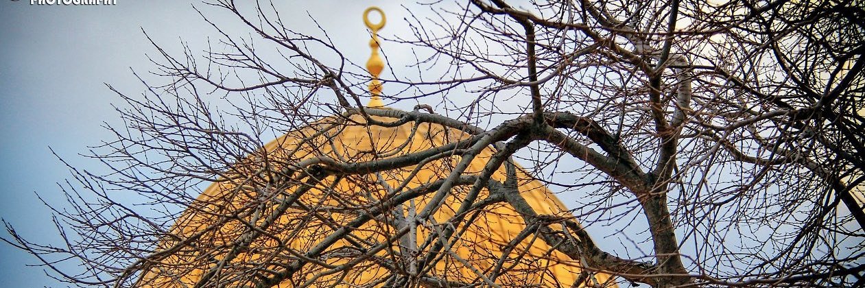 alaarayyan9's profile banner image