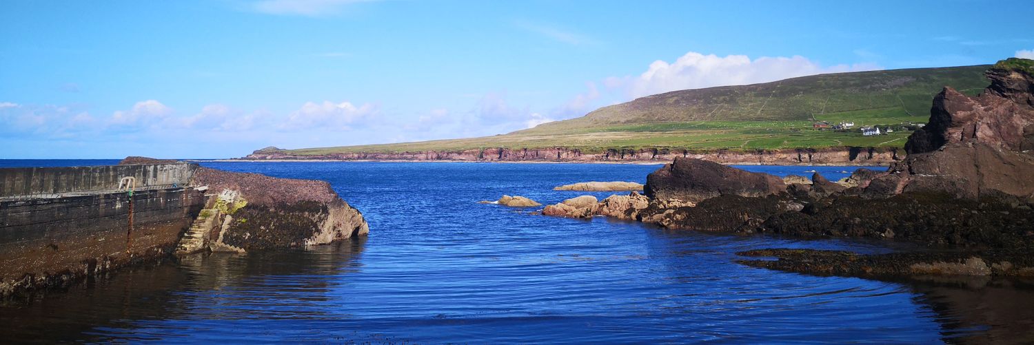 Edel Ní Loibhéad banner
