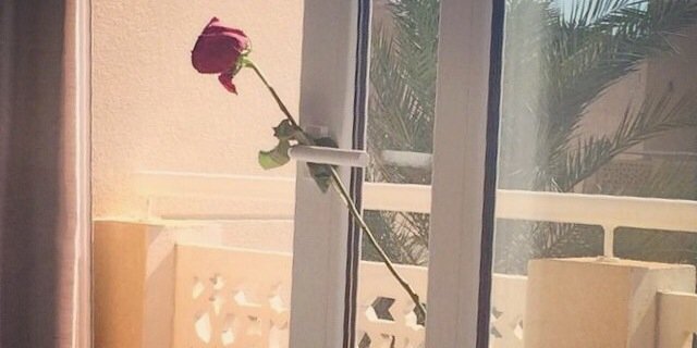 ibn_seef's profile banner image