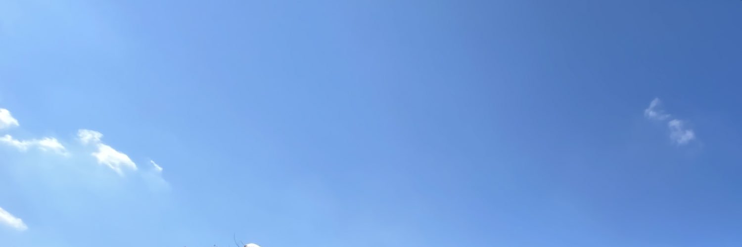 16rosmb's profile banner image