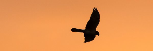 GarrityPete Profile Banner