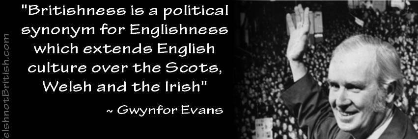 Catrin Fychan banner