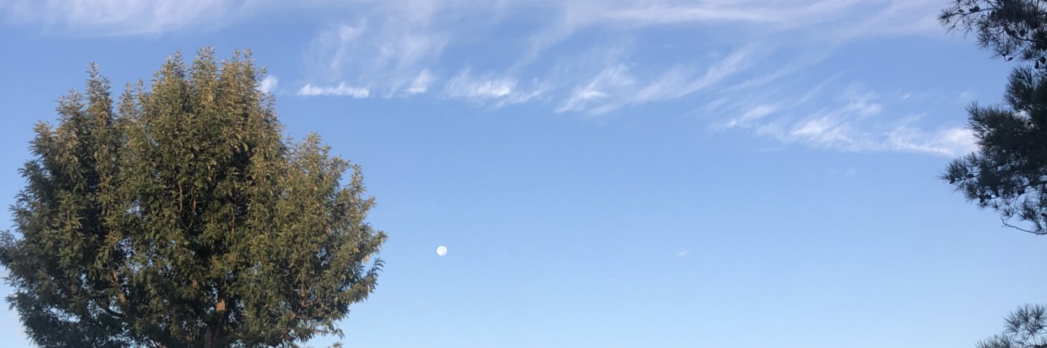 DBridgerElerick's profile banner image