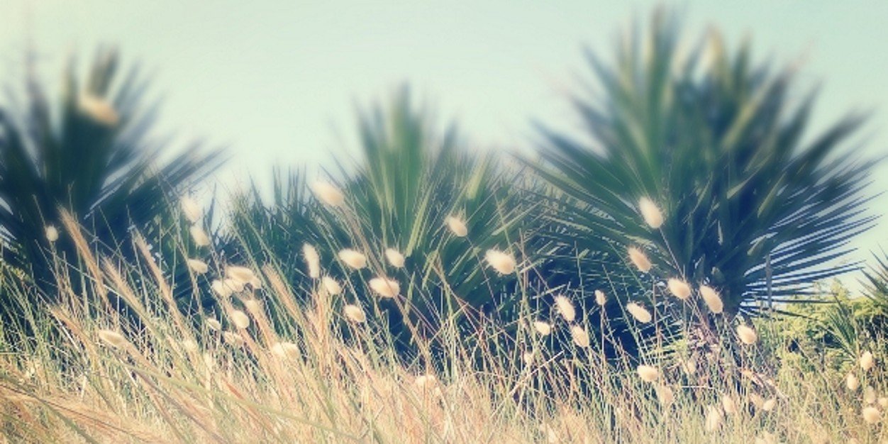 JeanPhilipp71's profile banner image