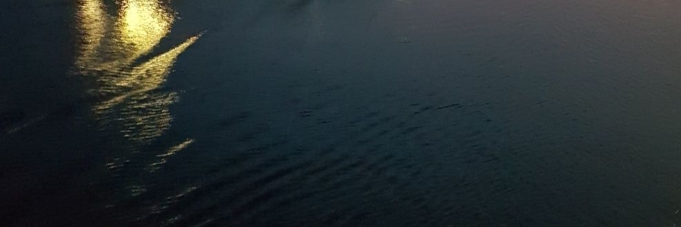 robeekl's profile banner image