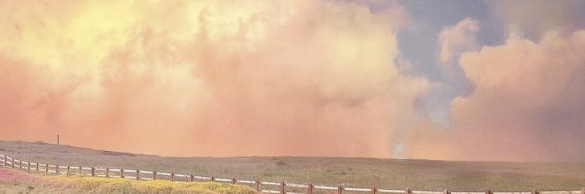 ipseitee's profile banner image