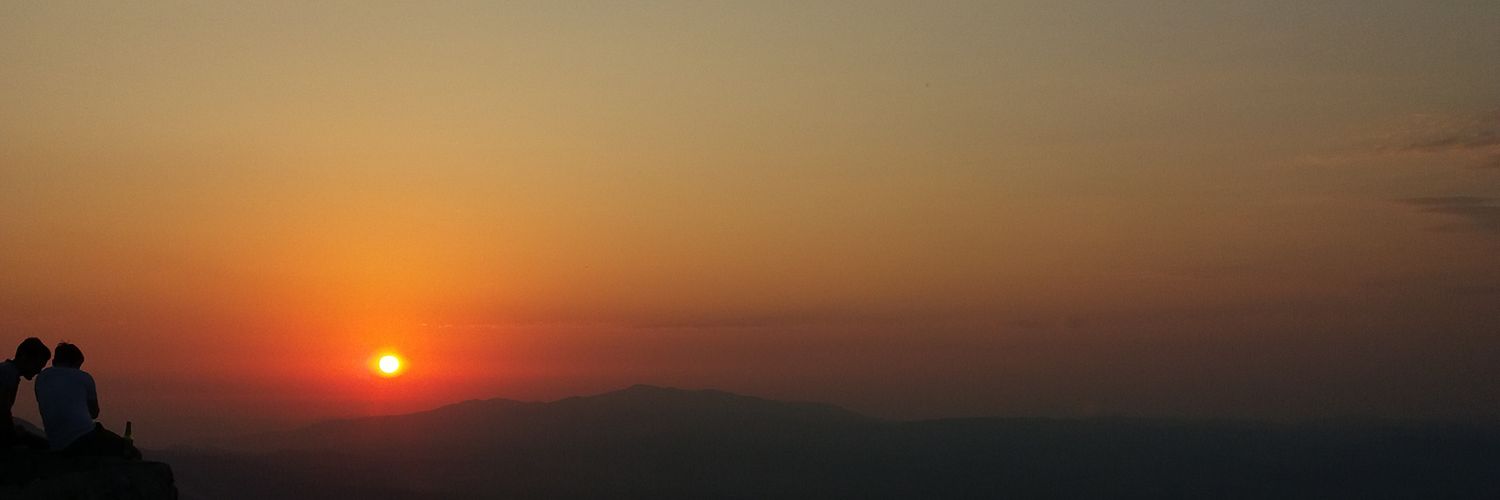 Fatma Gül banner