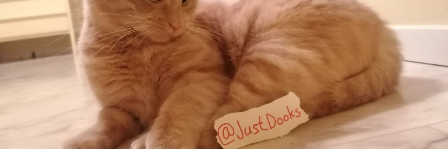 JustDooks's profile banner image
