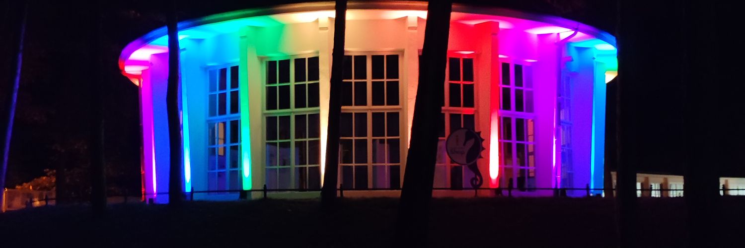 theheimonen's profile banner image