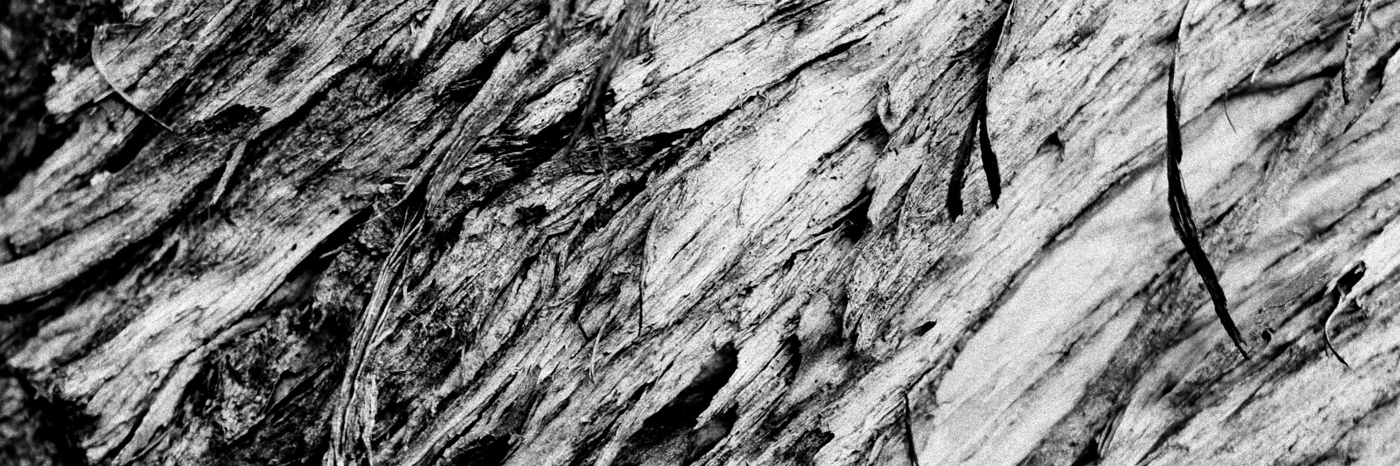 Elina Immonen banner