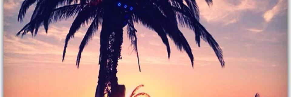 Stephaniieve's profile banner image