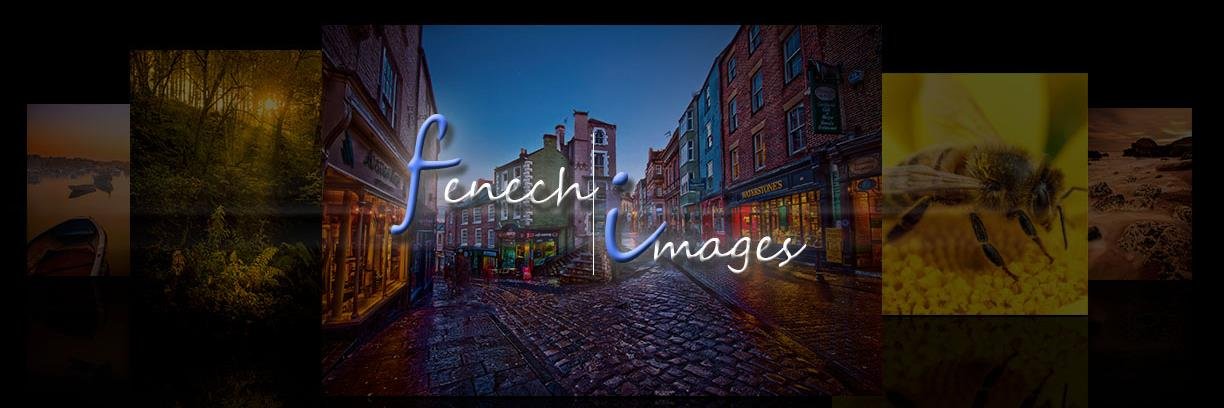 Fenechimages's profile banner image