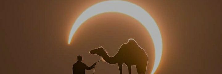 eb_erminia's profile banner image