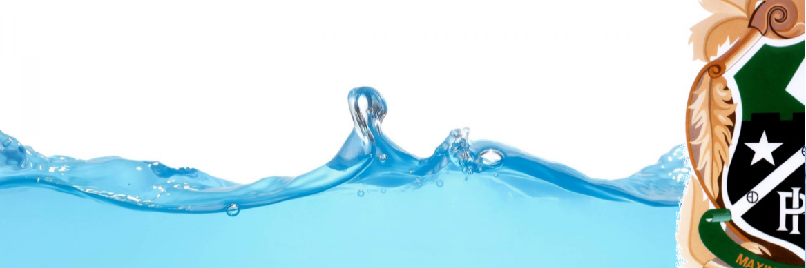 pearsonhighpolo's profile banner image